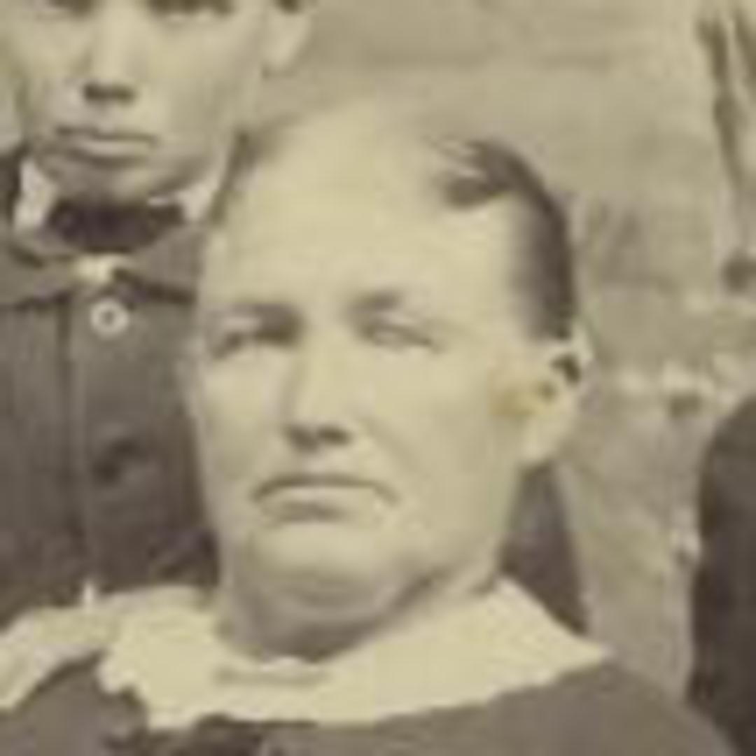 Sarah Emma Sharp (1842 - 1899) Profile